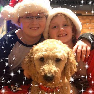 Meet your Posher, Ann marie